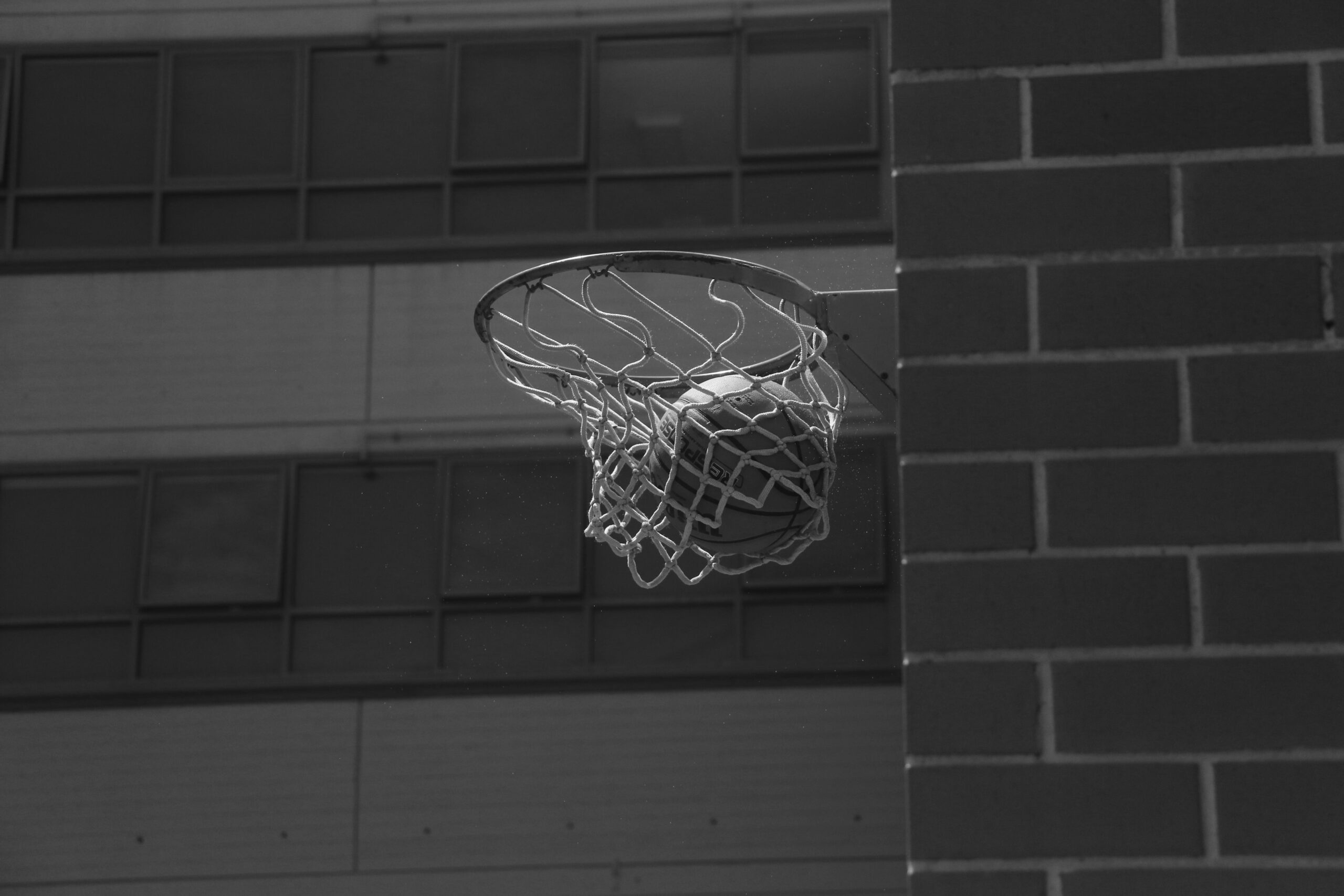 Dalla panchina al report: come funziona una partita con RimScoutUp